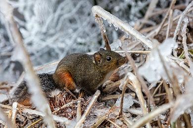 《博德之门3》开发团队规模超400人 是《神界原罪》10倍