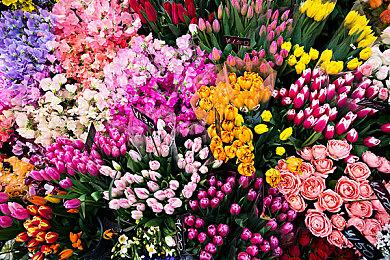 拉瑞安分享《博德之门3》玩家数据：368人3天通关