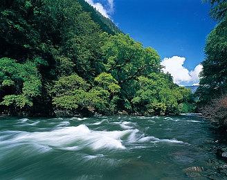 《NBA 2K25》新视频展示ProPLAY动画＆新运球引擎